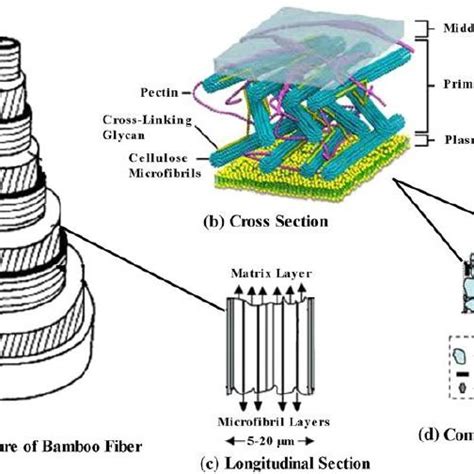 Kenaf fiber and its processing. (a) Kenaf water retting process, (b ...