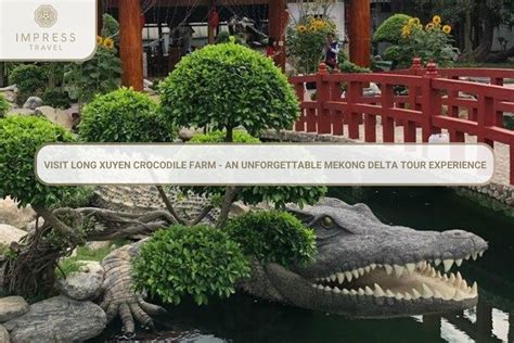 Long Xuyen Crocodile Farm: Unforgettable Mekong Delta Tour