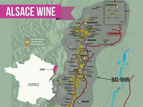 Alsace Wine Region | A Riesling & Pinot Gris Paradise