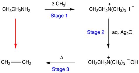 Hofmann Elimination - Chemistry LibreTexts