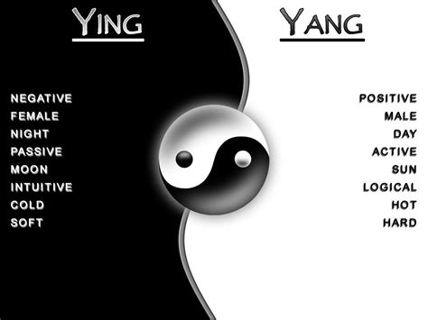 The Yin To My Yang Quotes. QuotesGram