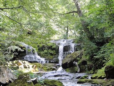 Walks in North Yorkshire - Goathland Waterfalls Walk | Waterfall, North yorkshire, Yorkshire