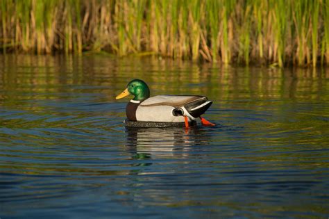 Motion Duck Decoys | Air Boss Motion Decoys | Windwalker Outdoors