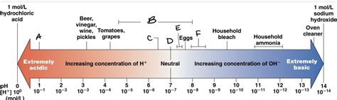 A&P 1 - Chapter 2 - Concentration labeled Diagram | Quizlet