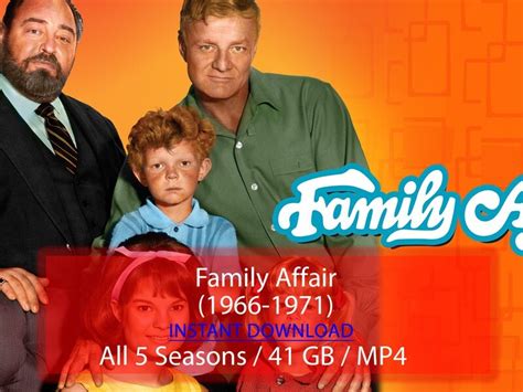 Family Affair (1966-1971)