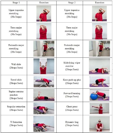 Scapular stabilization exercises | Download Scientific Diagram