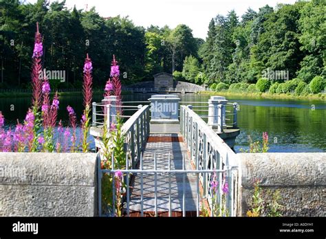 Mugdock Reservoir Milngavie Scotland Stock Photo - Alamy