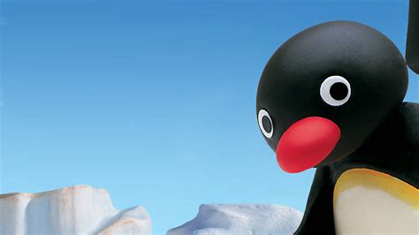 [100+] Pingu Wallpapers | Wallpapers.com