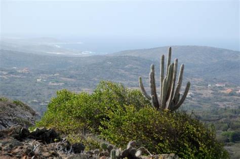 Aruba Arikok National Park