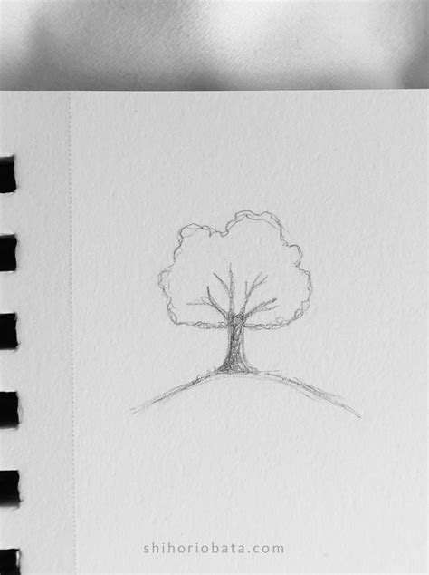 20 Easy Tree Drawing Ideas