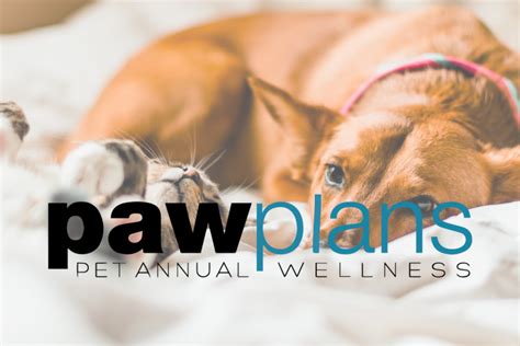 PAW Plans | Memorial Road Pet Hospital