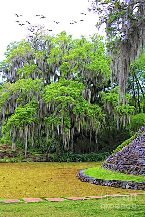 Spanish Moss trees Avery Island Louisiana Photograph by Chuck Kuhn | Fine Art America