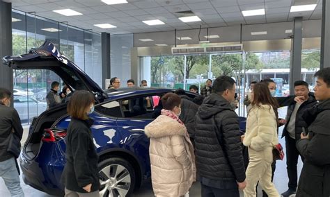 Tesla China Model Y News - TESLARATI