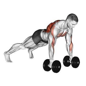 Dumbbell Renegade Row - Guide, Benefits, and Form