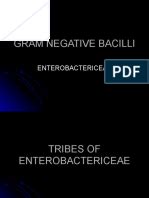 Non-fermenting and Miscellaneous Gram Negative Bacilli | Pseudomonas | Gram Negative Bacteria ...