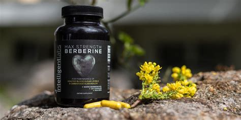 Your Guide To Berberine: The Best Metformin Alternative – Intelligent Labs