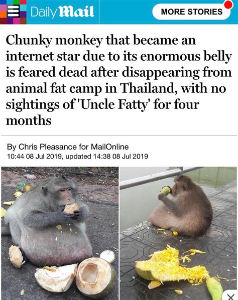 Side quest: The search for Uncle Fatty : r/neckbeardRPG