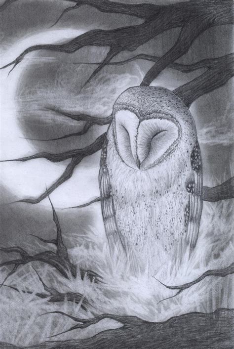 Barn owl and moon drawing by BrokenFeathers on DeviantArt