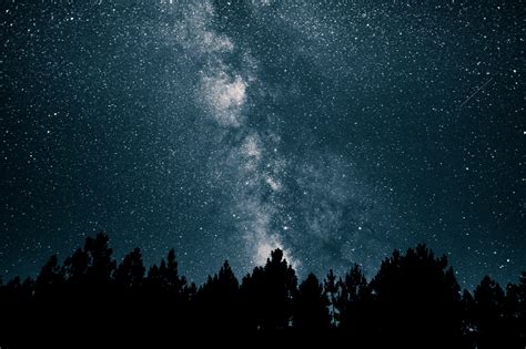 Wallpaper : starry night, night sky, stars, space, galaxy, silhouette ...