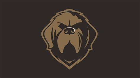 Newfoundland Growlers unveil name, logo | ECHL