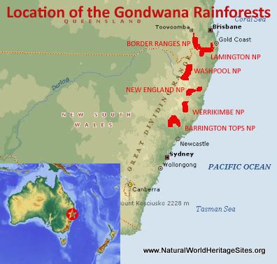 Gondwana Rainforests of Australia | Natural World Heritage Sites