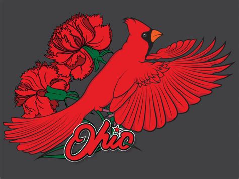 What Is The State Flower And Bird Of Ohio | Best Flower Site