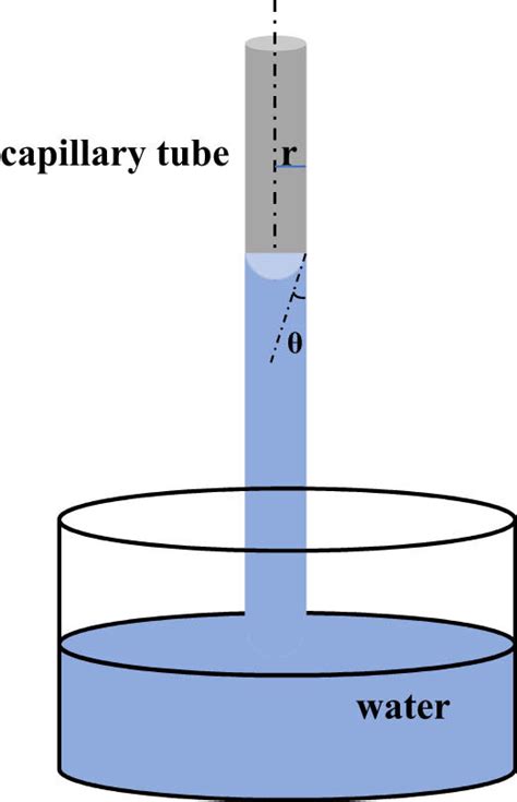 The schematic diagram of capillary force measurements. | Download ...