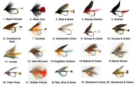 Trout fishing tips depot - The Angler Source for Trout Fishing Tips ...