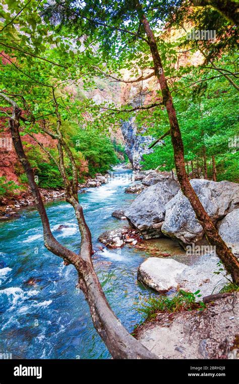 beautiful landscape, nature. forest mountain and blue stream, beauty ...