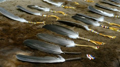 Introduction of sacred eagle feathers into Manitoba courts called a ...