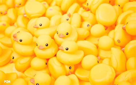 Yellow Duck Wallpapers - Top Free Yellow Duck Backgrounds - WallpaperAccess