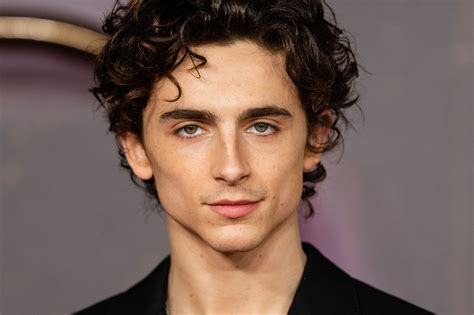 Timothée Chalamet used to mod Xbox 360 controllers - The Verge