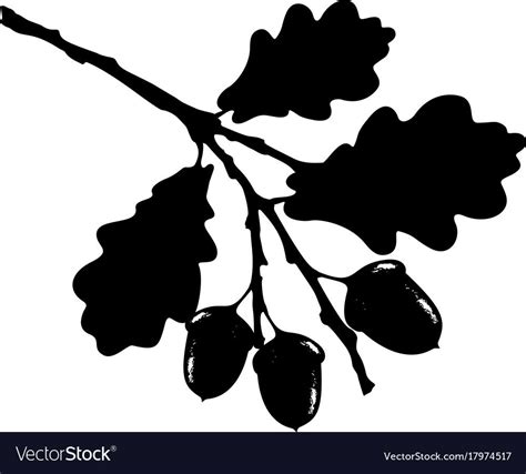 Oak leaf acorn and branch isolated silhouette vector image on VectorStock in 2020 | Silhouette ...