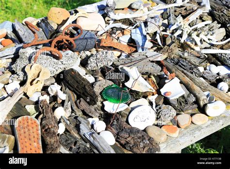 Beachcombing finds display, Shingle Street, Suffolk, England, Uk Stock Photo - Alamy