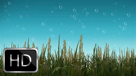 Free Nature Motion Background with Beautiful Bubbles Moving Background ...