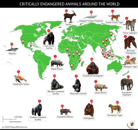 World map depicting locations of critically endangered animals - Answers