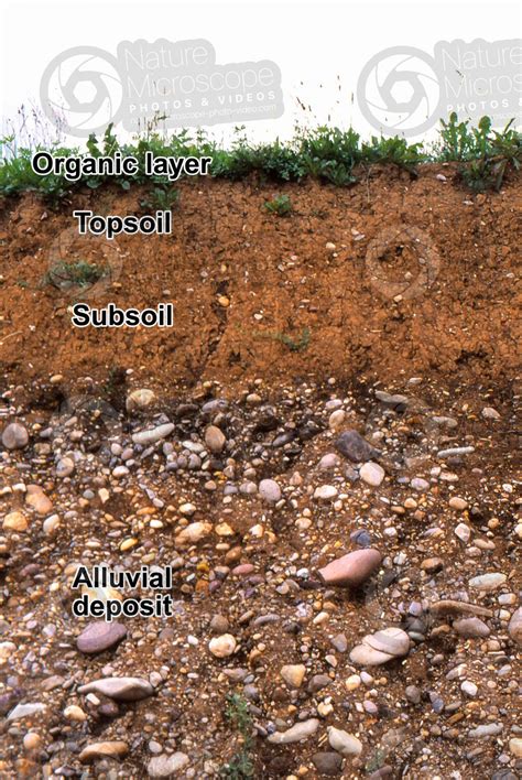 Alluvial soil. Cross section - Soil cross section - Types of soil structure - Rocks and ...