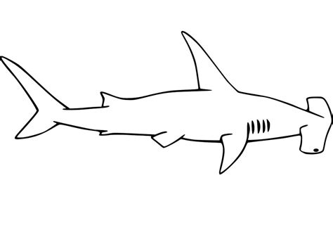 Hammerhead Shark and Fishes Coloring Page - Free Printable Coloring Pages for Kids