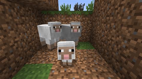 Minecraft SHEEP Wallpaper