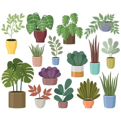 House Plants Clipart. Gardening. Vector Houseplant Graphic. Potted Plants. Digital Images - Etsy