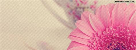 Beautiful Pink Flower Facebook Cover - fbCoverLover.com