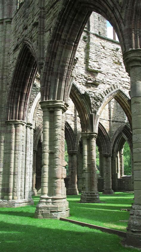 Tintern Abbey, Wales, United Kingdom | Cathedrals architecture, Wales ...