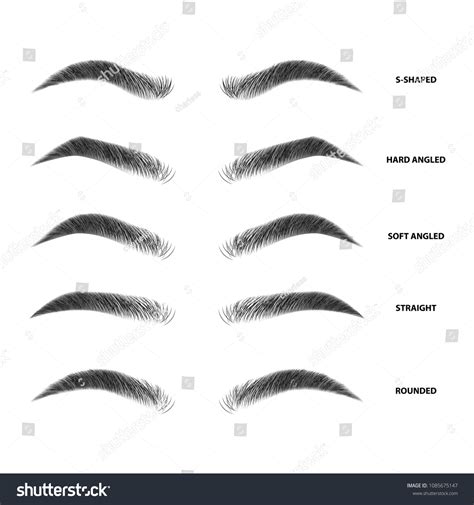 Eyebrows shapes vector Images, Stock Photos & Vectors | Shutterstock