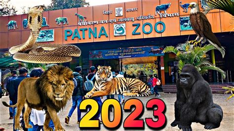 Patna Zoo|Patna Chidiya Ghar| पटना चिड़िया घर | 2023. - YouTube