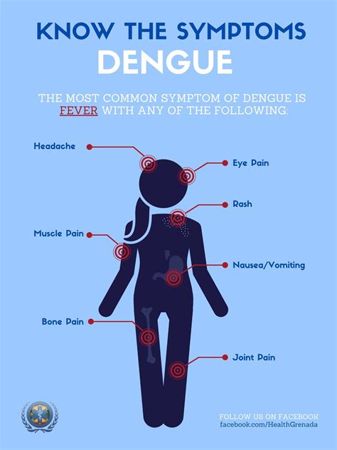 *Symptoms of Severe Dengue* Watch for signs and symptoms of severe ...