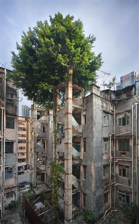 Plants Winning A Fight Against Concrete | Concrete jungle, Urban ...