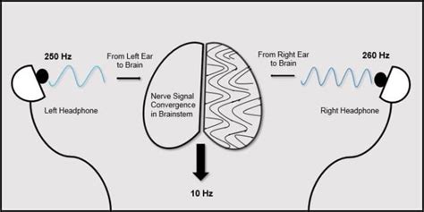 Binaural Beats, Mood and Memory - NeuroLogica Blog