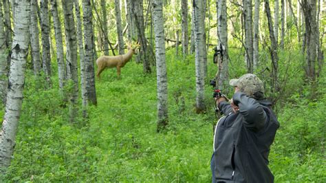 A ramble at the archery range - Bowbenders 3D Archery Range