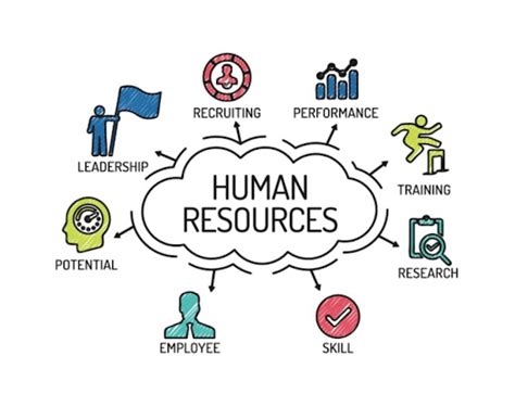 Why Human Resource Management Course is Important?