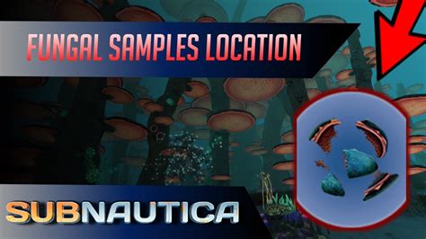 How to get Fungal Samples in Subnautica. (UPDATED) - YouTube